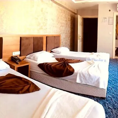 拉文花园酒店 酒店